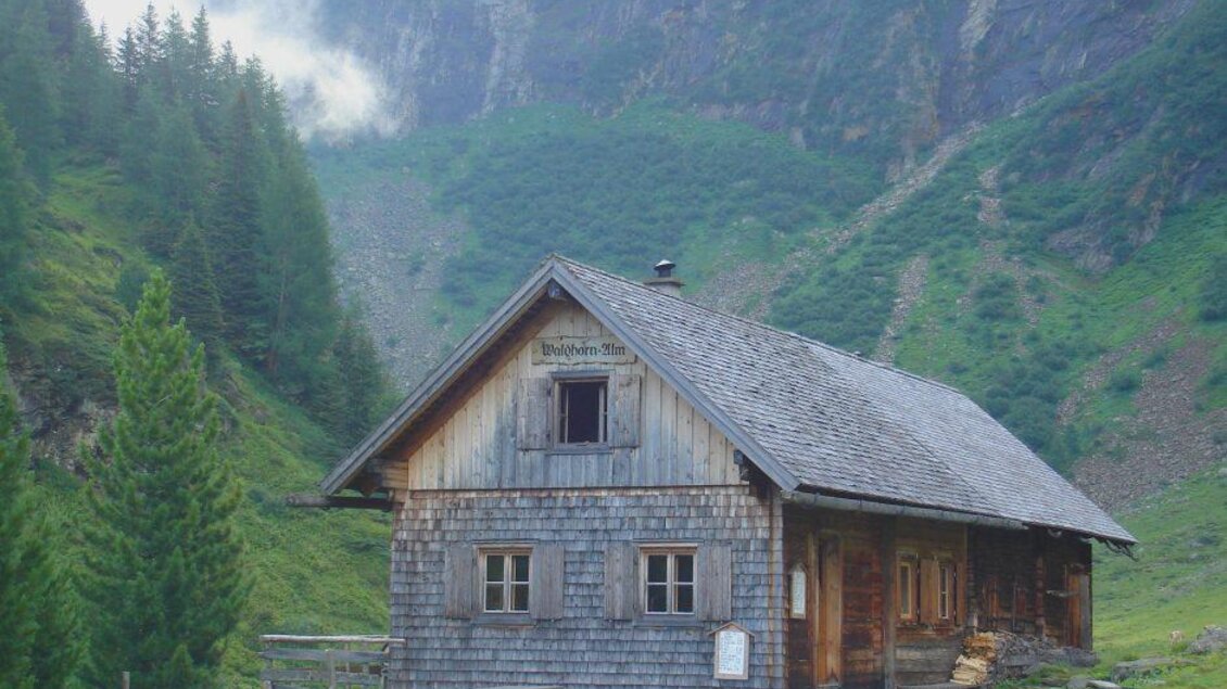 Wanderung zur Waldhornalm in Schaldming-Dachstein