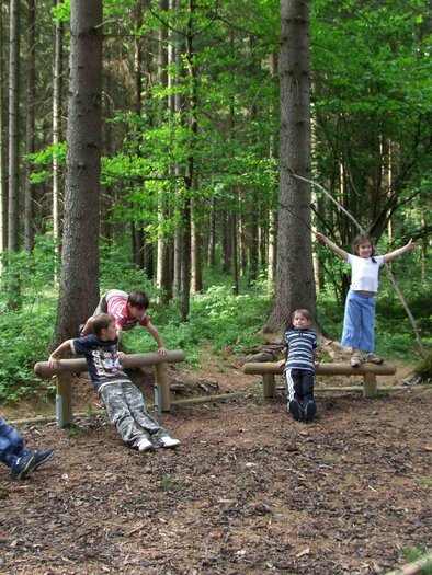 Waldlehrpfad-Station1-Murtal-Steiermark | © Anita Fössl