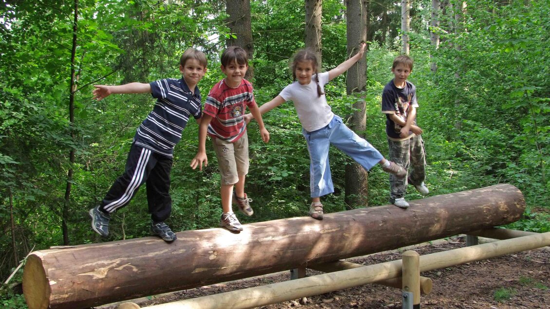 Waldlehrpfad-Station3-Murtal-Steiermark | © Anita Fössl