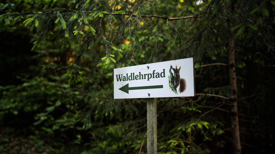 Waldlehrpfad Zeltweg - Impressionen #2.7