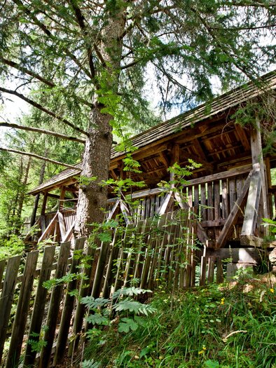 A wooden house in a forest with green trees and a wooden fence. The surroundings are natural and idyllic. | © Holzwelt Murau