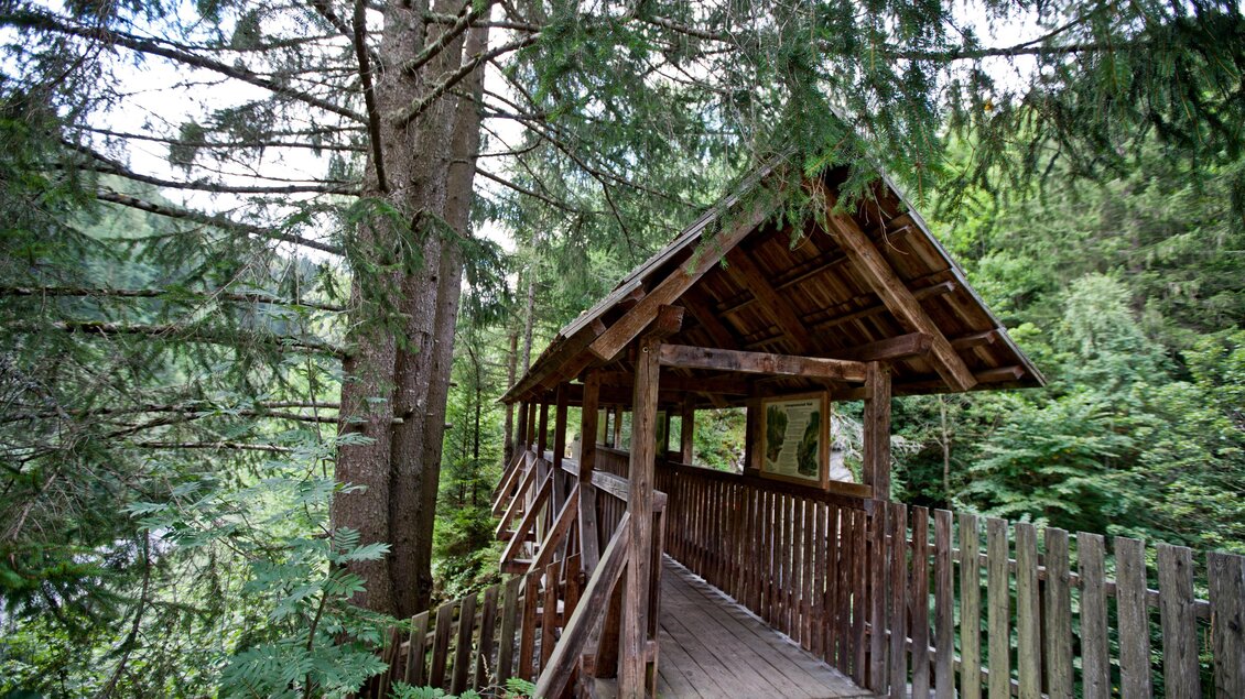 Eine Holzbrücke führt durch einen grünen Wald mit hohen Bäumen. Die Umgebung ist ruhig und naturbelassen. | © Holzwelt Murau