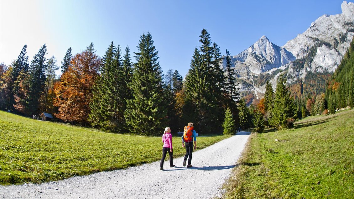 Zwei Wanderer gehen einen malerischen Weg durch die Berge. Rundherum sind grüne Wiesen und Bäume im herbstlichen Farbenspiel.