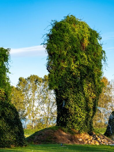 Eine grüne Skulptur aus Pflanzenform, die drei Hasen darstellt, steht in einer Wiese. Im Hintergrund fliegt ein bunter Heißluftballon am blauen Himmel. | © Kurkommission Bad Blumau