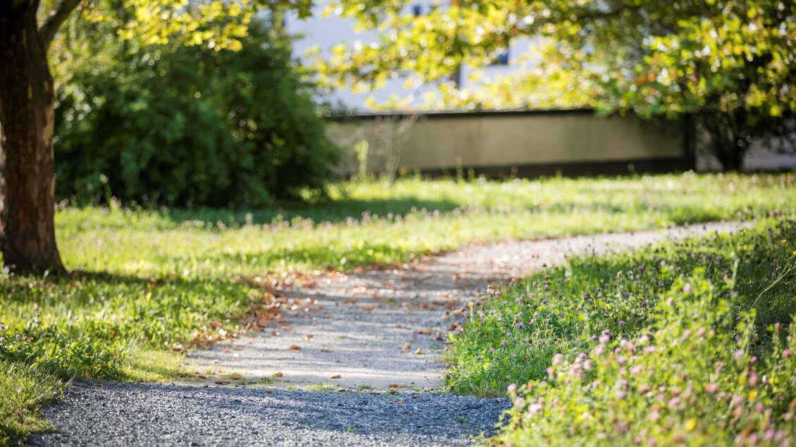 Ein ruhiger Weg durch eine grüne Wiese mit einigen Bäumen. Das Licht fällt sanft auf den Pfad und schafft eine entspannte Atmosphäre. | © Rogner Bad Blumau