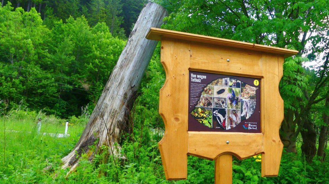 Weg zur Vielfalt - Impressionen #2.4