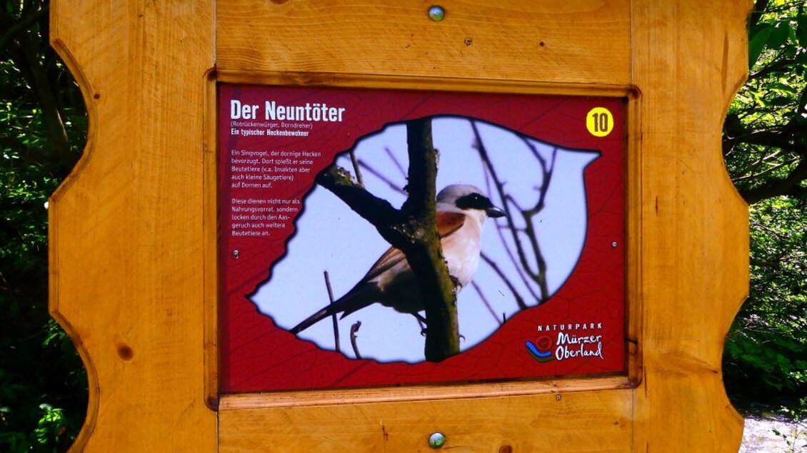 Weg zur Vielfalt - Impressionen #2.6