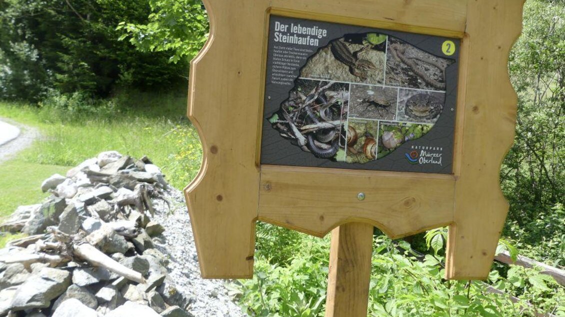 Weg zur Vielfalt - Impressionen #2.8