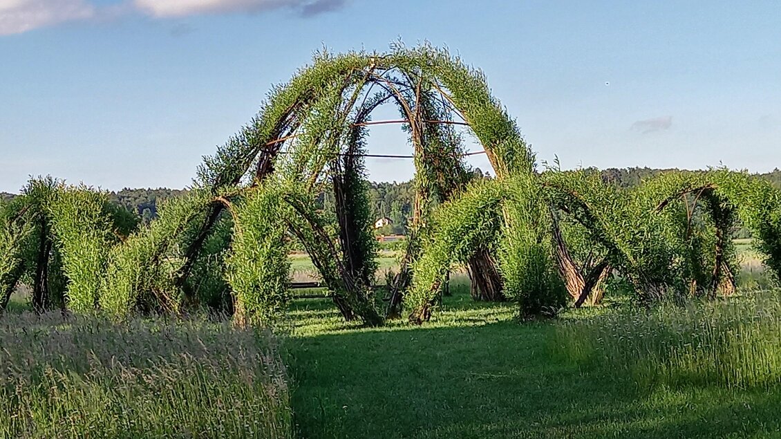 Eine grüne Skulptur aus Pflanzen, die eine bogenförmige Struktur bildet. Der Hintergrund zeigt eine offene Wiesenlandschaft unter einem blauen Himmel. | © Erlebnisregion Thermen- & Vulkanland