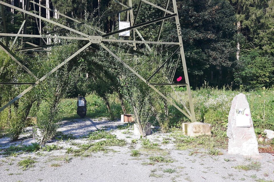 Weidendom - Impression #1