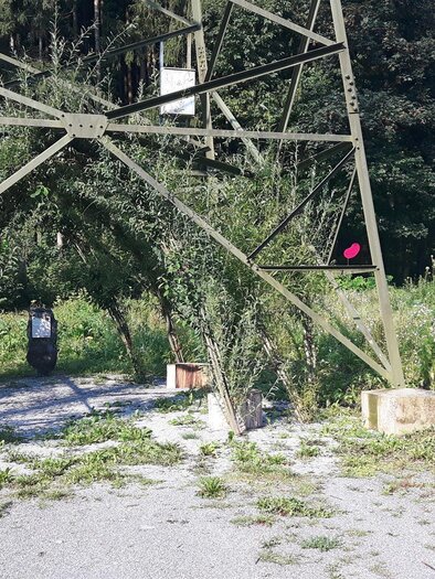 Weidendom_Weidendom_Oststeiermark