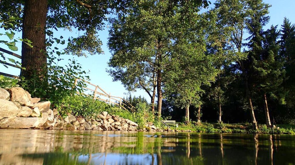 Ein ruhiger Teich umgeben von Bäumen und Steinen. Die Wasseroberfläche spiegelt die Natur wieder. | © Anita Fössl