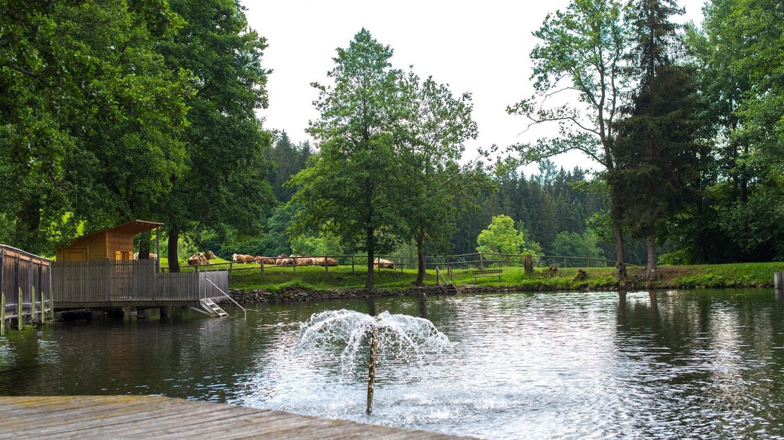 Ein ruhiger Teich umgeben von hohen Bäumen. Im Wasser sprudelt ein kleiner Brunnen. | © Anita Fössl