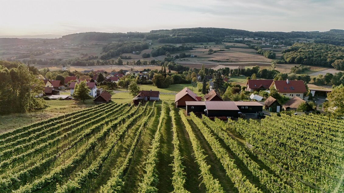 Eine malerische Landschaft mit Weinbergen und einem kleinen Dorf im Hintergrund. Sanfte Hügel und eine ruhige Atmosphäre prägen die Szene. | © Weingut Hopfer