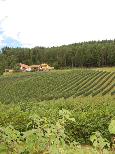 Obsthof Durlacher_Oststeiermark | © Tourismusverband Oststeiermark