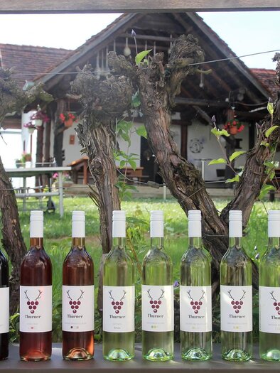 Wine tavern Thurner | © Buschenschank Thurner