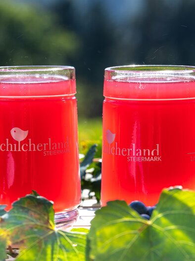 Schilchersturm | © Tourismusverband Schilcherland