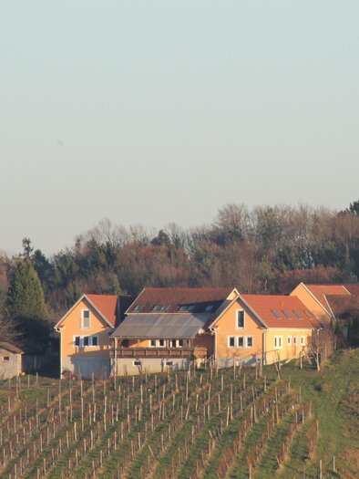 Weinbau Kahr in Fehring | © Martin Kahr