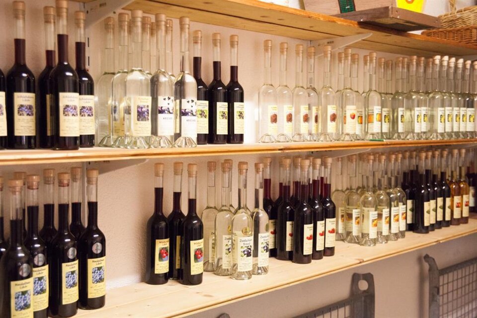 Weinbau Pronegg vlg. Krainz - Impression #1 | © Familie Pronegg | Weinbau Pronegg vlg. Krainz