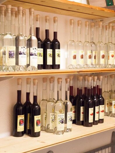 Weinbau Pronegg vlg. Krainz | © Familie Pronegg | Weinbau Pronegg vlg. Krainz