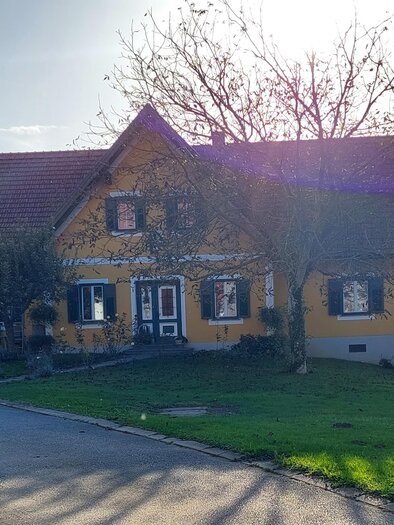 Weinbau Sauer | © CZ