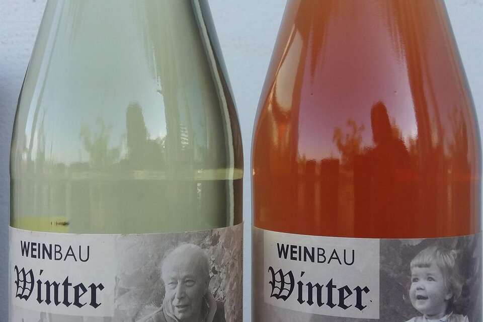 Weinbau Winter in Straden - Impression #1 | © Weinbau Winter