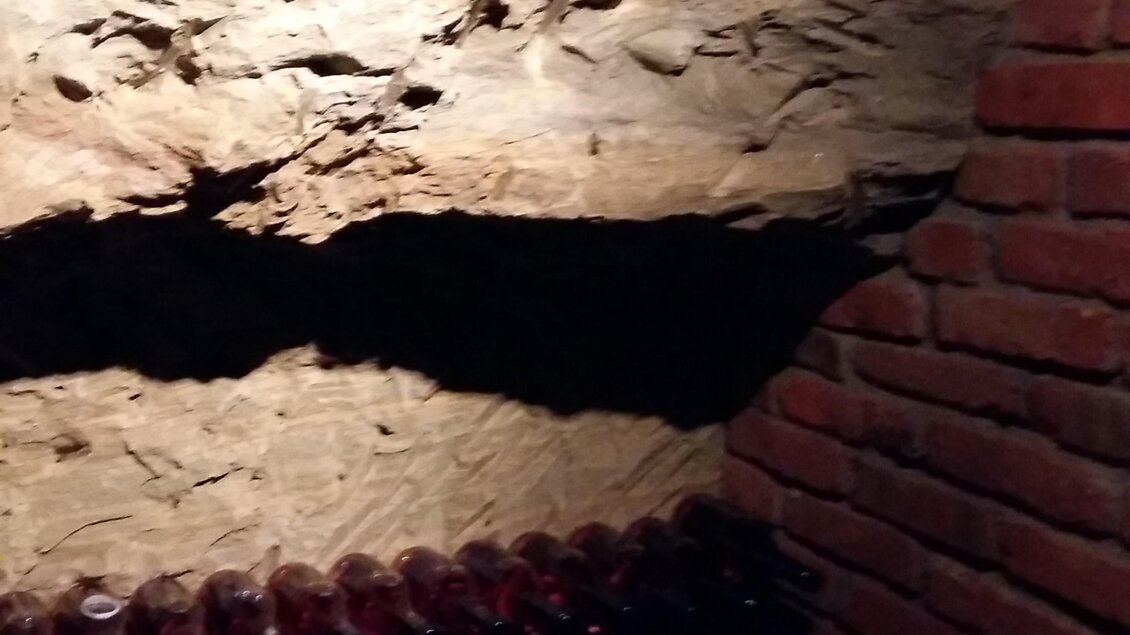 Weinbau Winter in Straden - Impressionen #2.1