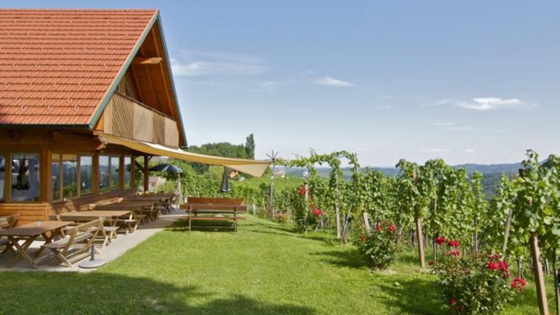 Ein wunderschönes Weingut mit einer Terrasse und Blick auf die Weinreben. Der Himmel ist klar und die Umgebung ist grün und einladend. | © Trunk
