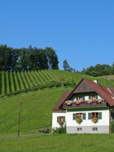 Postl | © Weinbauernhof Wiedner vlg. Koschutta | Fam. Wiedner