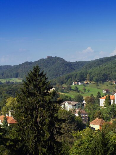 Weinbauverein Bad Gleichenberg | © Thermen- & Vulkanland | Werner Krug | © Thermen- & Vulkanland