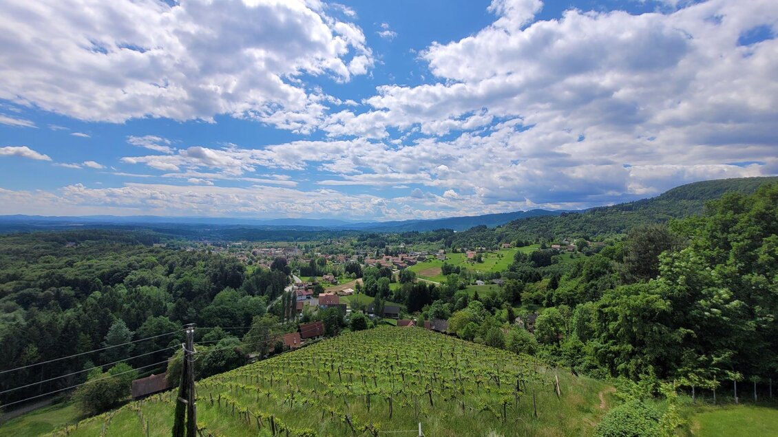 Aussicht von der Weinbergwarte | © TV Südsteiermark - Irene Löschnig