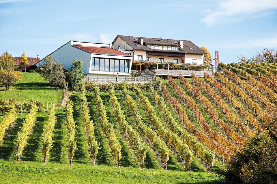 Wine experience Martin Wippel - Impression #1 | © Weinerlebnis Wippel