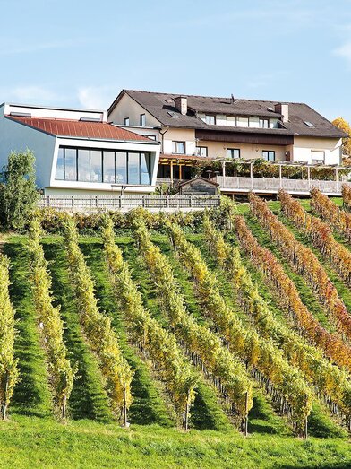 wine experience Martin Wippel Riegersburg  | © Weinerlebnis Wippel | Der Ferdere | © Weinerlebnis Wippel