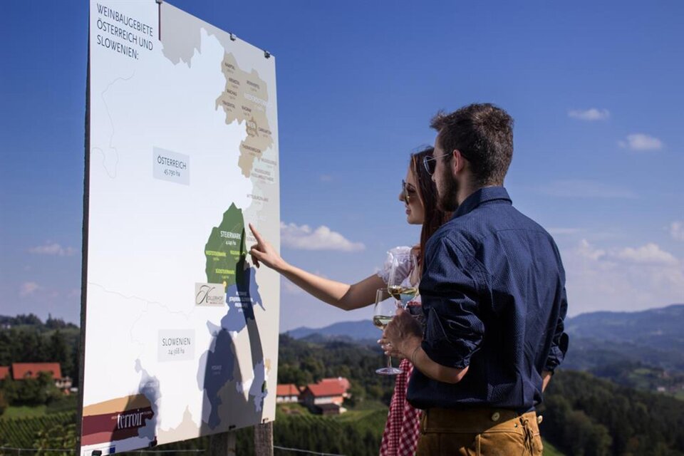 Weinerlebnistour - Impression #1 | © Familie Lieleg | Kollerhof am Eichberg