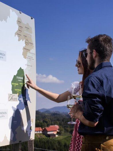 Weinkulturgarten Eichberg 2 | © Familie Lieleg | Kollerhof am Eichberg