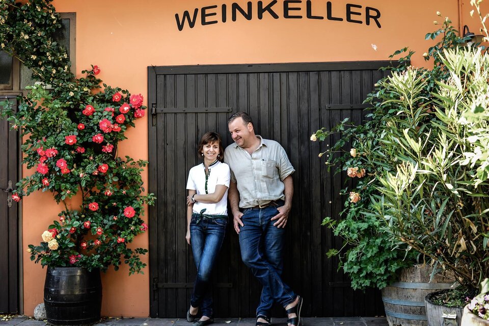 Weingut & Buschenschank & Ferienwohnungen  Kolleritsch - Impression #1