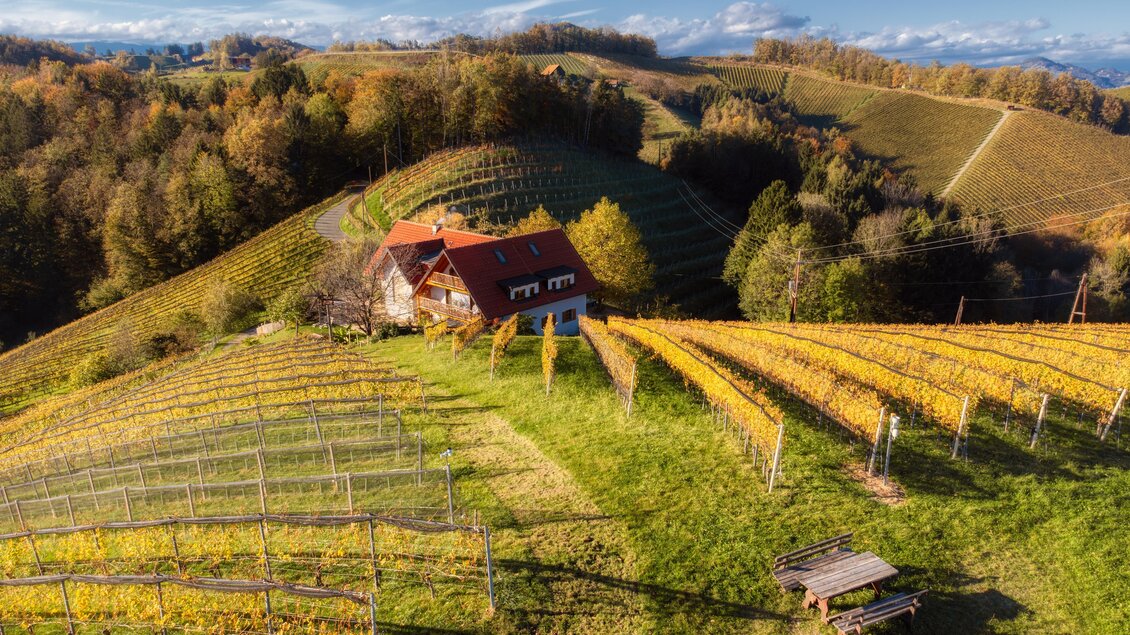 Weingut Adam Amandus | © Carmen Adam