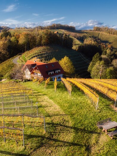 Weingut Adam Amandus | © Carmen Adam
