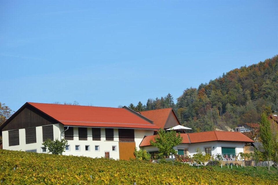 Weingut Auszeithof Pronegg - Impression #1 | © Auszeithof Pronegg