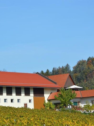 Auszeithof Pronegg | © Auszeithof Pronegg