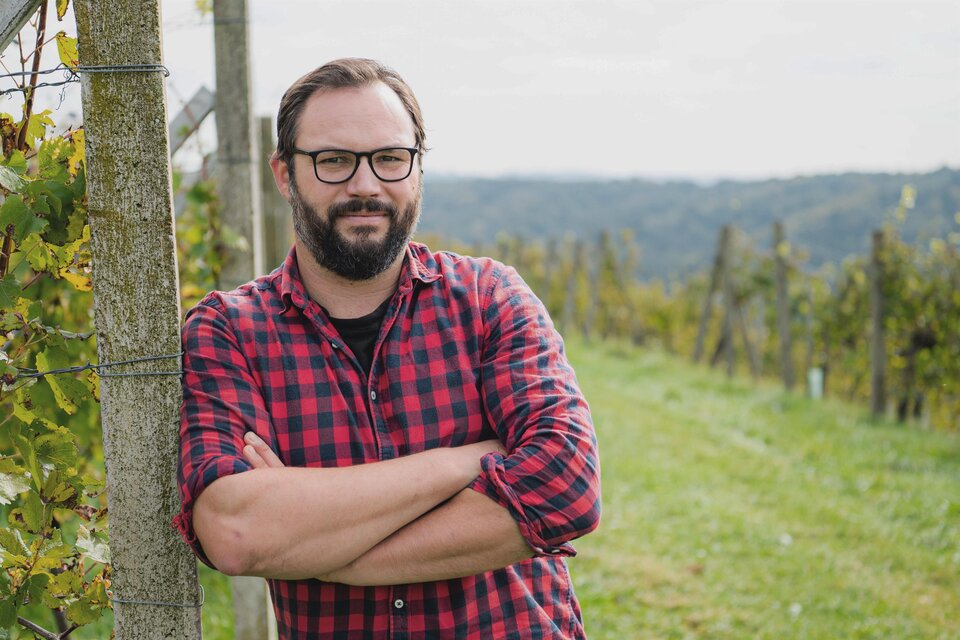 Weingut Bernhard Frauwallner in Gnas - Impression #1 | © Weingut Frauwallner