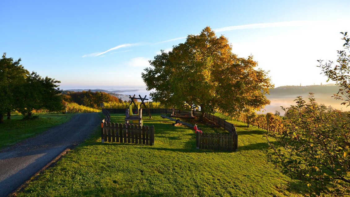 Eine ruhige Landschaft mit grünem Gras und einem großen Baum. Im Hintergrund ist der Himmel klar und die Sonne scheint. | © Adam Schererkogl