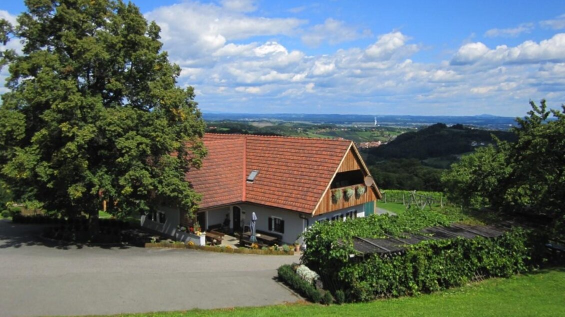 Ein hübsches Haus in der Landschaft mit einem roten Dach und einem großen Baum. Im Hintergrund erstrecken sich Weinberge und ein klarer Himmel. | © Adam Schererkogl