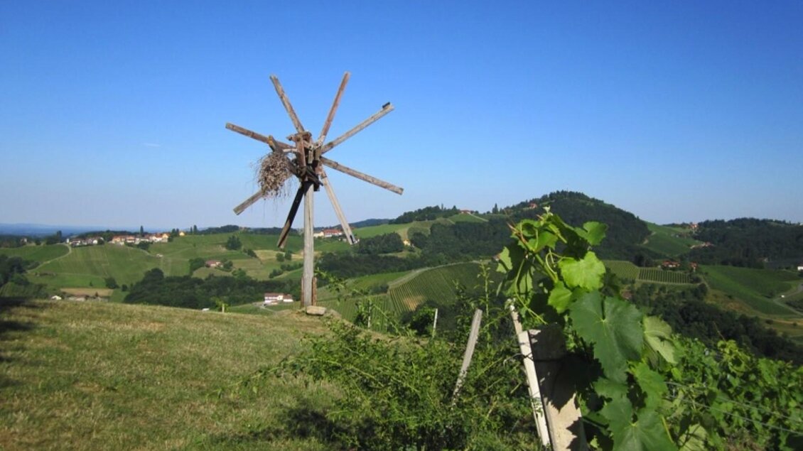 Ein malerischer Hügel mit einer alten Windmühle und Weinreben im Vordergrund. Darüber ein klarer blauer Himmel und sanfte grüne Landschaften. | © Adam
