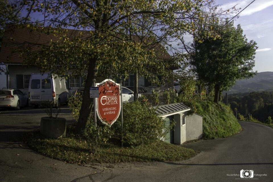 Weingut Ertl Ehmannkeller - Impression #1 | © Traditionsweingut Ehmannkeller | Anneliese Ertl