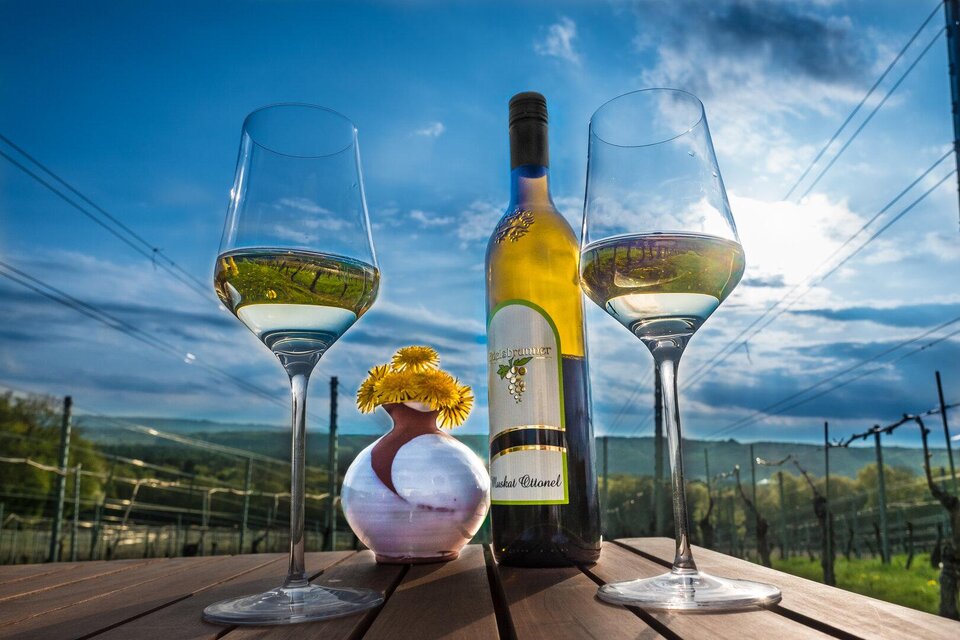 winery Edelsbrunner in Straden - Impression #1 | © www.luftbildbaustelle.at