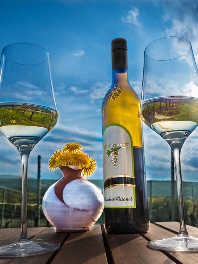 Wein mit Aussicht genießen | © www.luftbildbaustelle.at