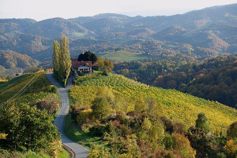 Weingut Eibenhof Fam. Ertl - Impression #1 | © Familie Ertl | Weingut Eibenhof