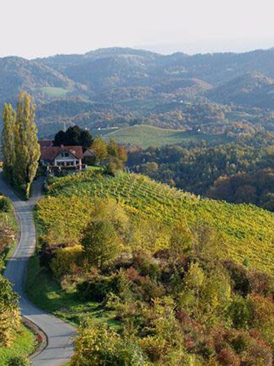 EIBENHOF vom puschnig | © Familie Ertl | Weingut Eibenhof