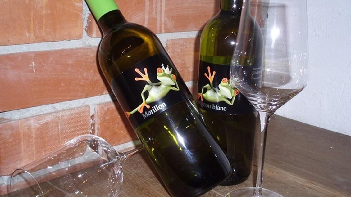 Winery Eiteljörg - Impressionen #2.1